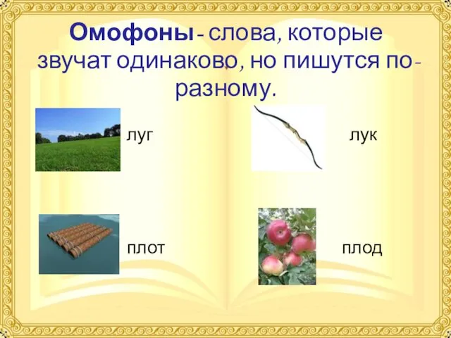 Омофоны- слова, которые звучат одинаково, но пишутся по-разному. луг лук плот плод