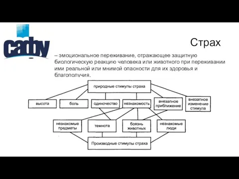 Страх – эмоциональное переживание, отражающее защитную биологическую реакцию человека или животного