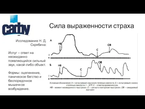 Сила выраженности страха Исследование Н. Д. Скрябина: Испуг – ответ на