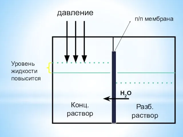 Конц. раствор Разб. раствор