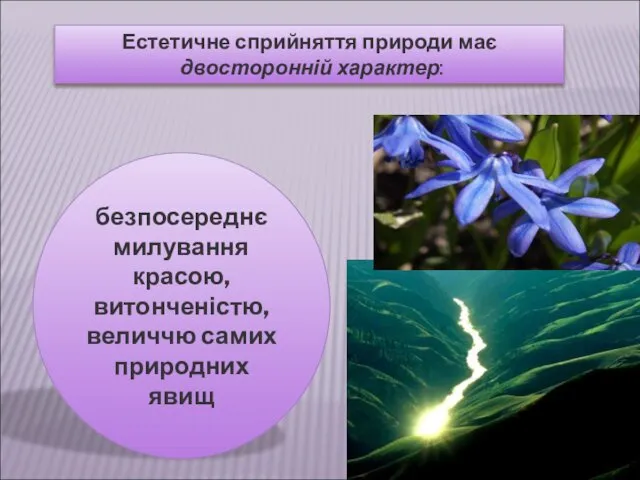 Естетичне сприйняття природи має двосторонній характер: безпосереднє милування красою, витонченістю, величчю самих природних явищ