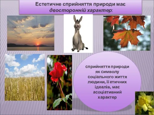 Естетичне сприйняття природи має двосторонній характер: сприйняття природи як символу соціального