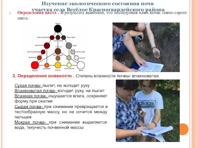 Определения цвета . В результате выяснили, что исследуемая нами почва темно-серого