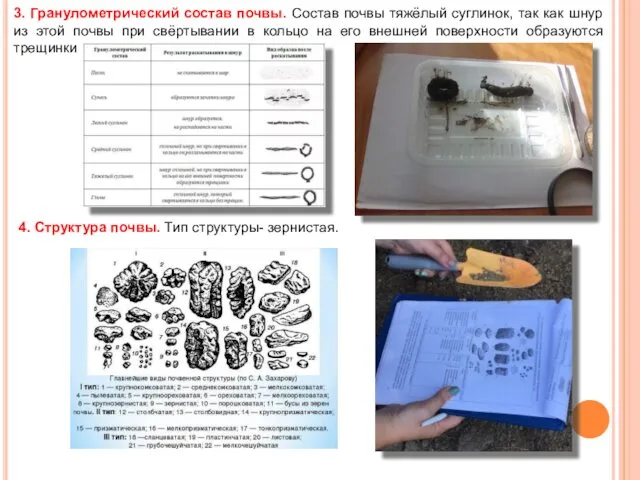 3. Гранулометрический состав почвы. Состав почвы тяжёлый суглинок, так как шнур