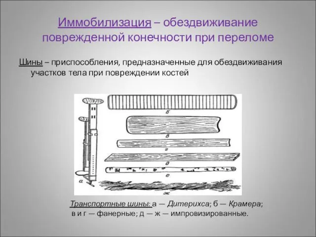 Иммобилизация – обездвиживание поврежденной конечности при переломе Шины – приспособления, предназначенные