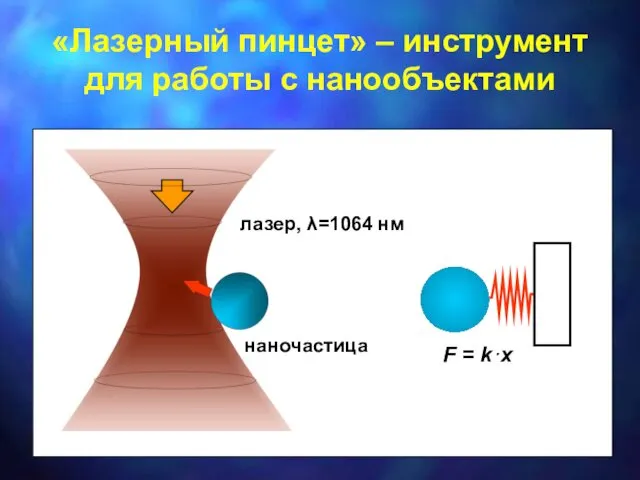 F = k ·x «Лазерный пинцет» – инструмент для работы с нанообъектами наночастица лазер, λ=1064 нм