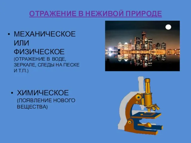 ОТРАЖЕНИЕ В НЕЖИВОЙ ПРИРОДЕ МЕХАНИЧЕСКОЕ ИЛИ ФИЗИЧЕСКОЕ (ОТРАЖЕНИЕ В ВОДЕ, ЗЕРКАЛЕ,