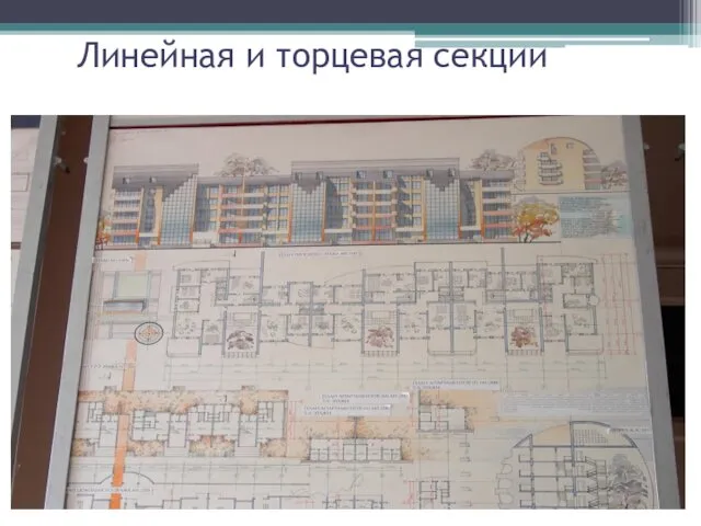 Линейная и торцевая секции