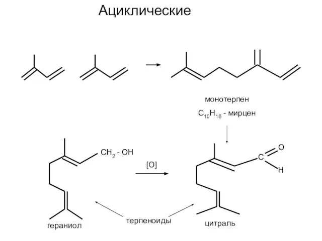 Ациклические монотерпен С10Н16 - мирцен СН2 - ОН гераниол [О] С О Н цитраль терпеноиды