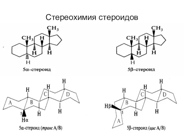 Стереохимия стероидов