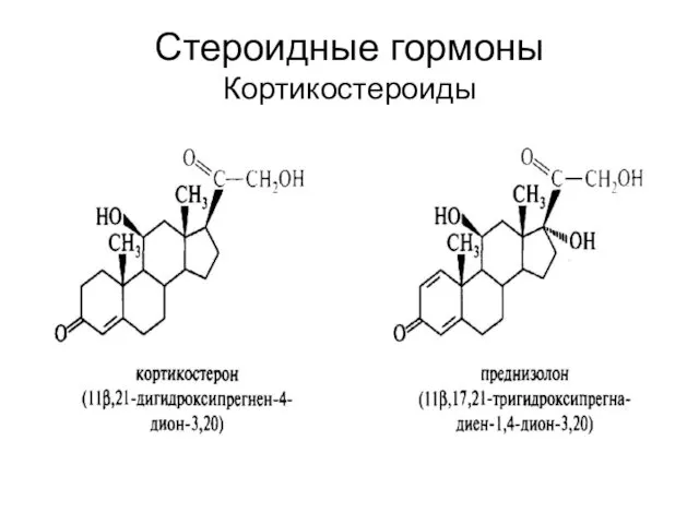 Стероидные гормоны Кортикостероиды