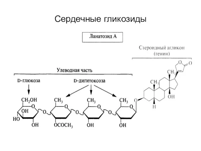 Сердечные гликозиды