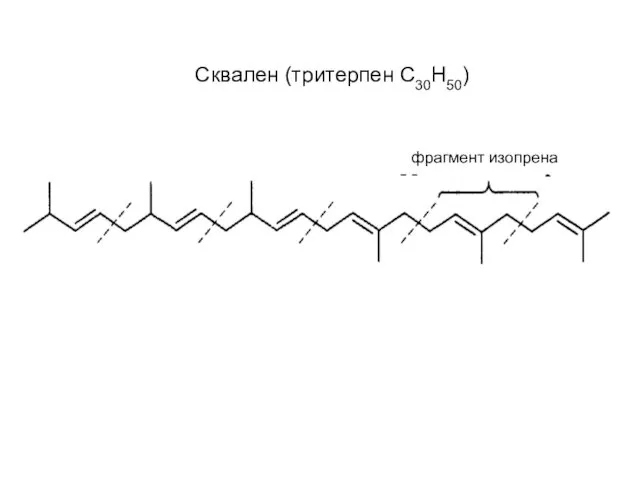 Сквален (тритерпен С30Н50) фрагмент изопрена