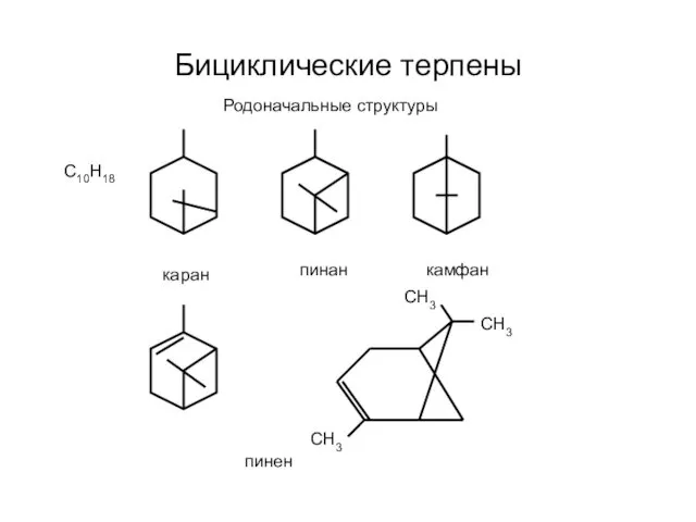 Бициклические терпены Родоначальные структуры С10Н18 каран пинан камфан СН3 СН3 СН3 пинен