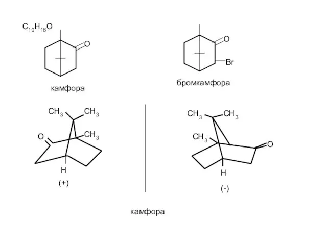 О С10Н16О камфора (+) СН3 СН3 СН3 О СН3 СН3 СН3