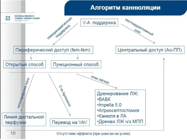 Алгоритм канюляции