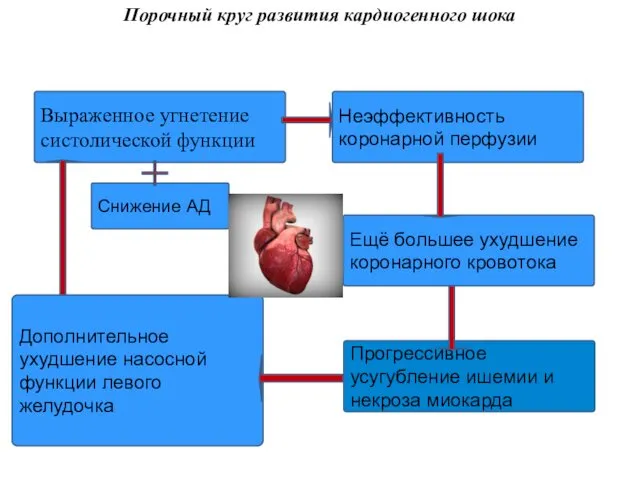 Порочный круг развития кардиогенного шока Выраженное угнетение систолической функции Неэффективность коронарной