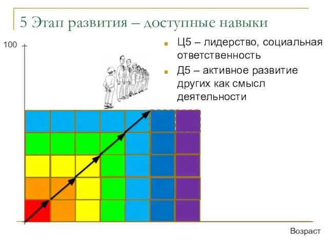 5 Этап развития – доступные навыки Возраст 100 Ц5 – лидерство,