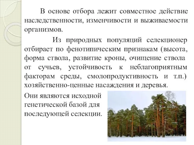 В основе отбора лежит совместное действие наследственности, изменчивости и выживаемости организмов.