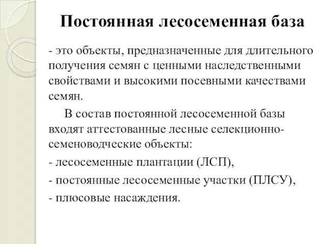 Постоянная лесосеменная база - это объекты, предназначенные для длительного получения семян