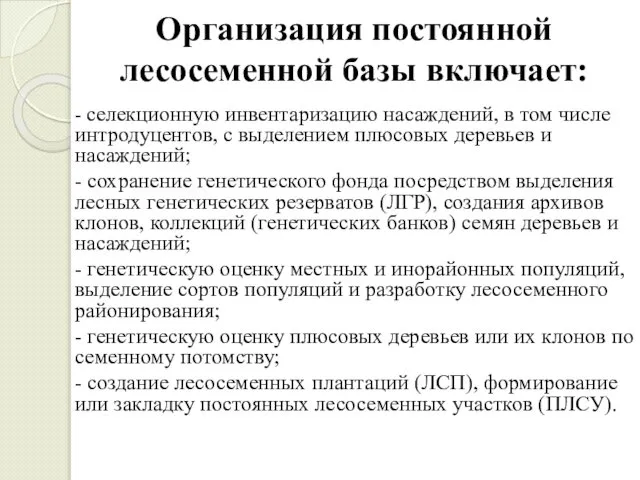 Организация постоянной лесосеменной базы включает: - селекционную инвентаризацию насаждений, в том