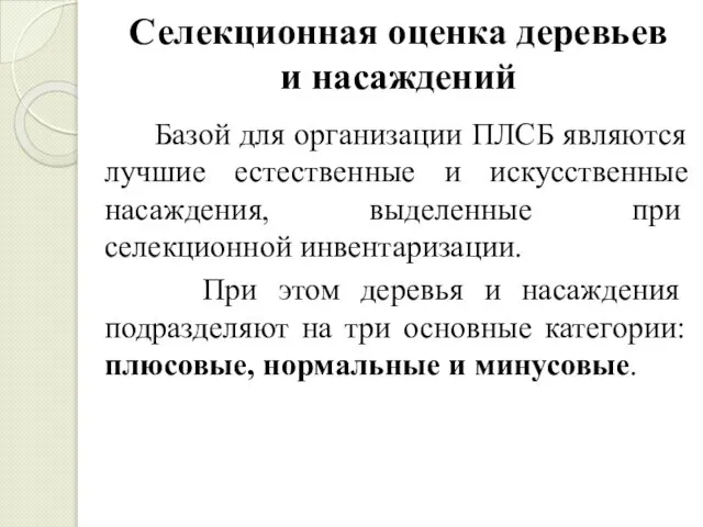 Селекционная оценка деревьев и насаждений Базой для организации ПЛСБ являются лучшие