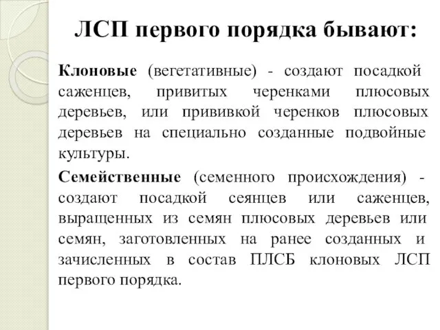 ЛСП первого поряд­ка бывают: Клоновые (вегетативные) - соз­дают посадкой саженцев, привитых