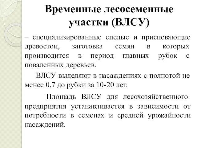 Временные лесосеменные участки (ВЛСУ) – специализированные спелые и приспевающие древостои, заготовка