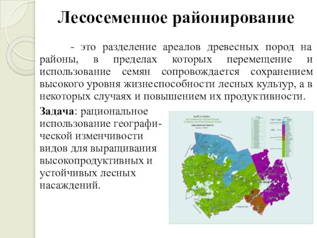 Лесосеменное районирование - это разделение ареалов древесных пород на районы, в