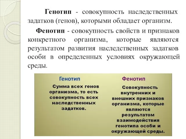 Генотип - совокупность наследственных задатков (генов), которыми обладает организм. Фенотип -