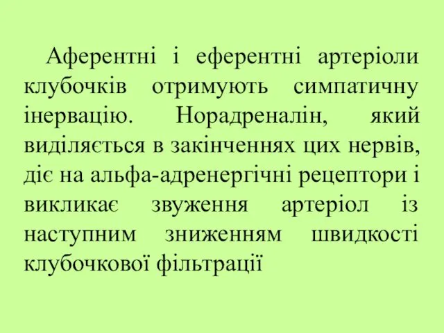 Аферентні і еферентні артеріоли клубочків отримують симпатичну інервацію. Норадреналін, який виділяється