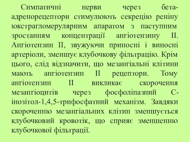 Симпатичні нерви через бета-адренорецептори стимулюють секрецію реніну юкстрагломерулярним апаратом з наступним