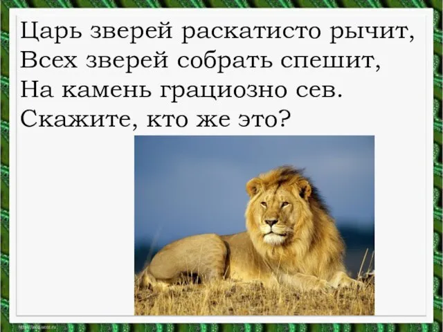 Царь зверей раскатисто рычит, Всех зверей собрать спешит, На камень грациозно сев. Скажите, кто же это?