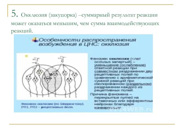 5. Окклюзия (закупорка) –суммарный результат реакции может оказаться меньшим, чем сумма взаимодействующих реакций.