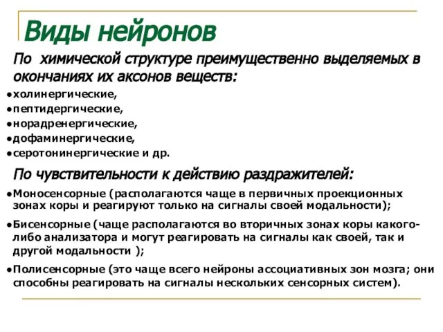 По химической структуре преимущественно выделяемых в окончаниях их аксонов веществ: холинергические,