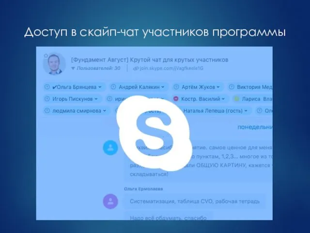 Доступ в скайп-чат участников программы