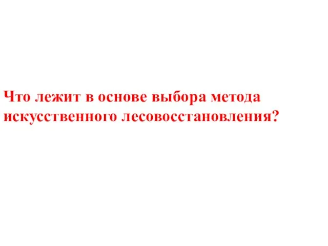 Что лежит в основе выбора метода искусственного лесовосстановления?