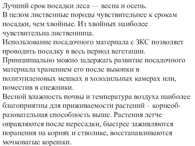 Лучший срок посадки леса — весна и осень. В целом лиственные