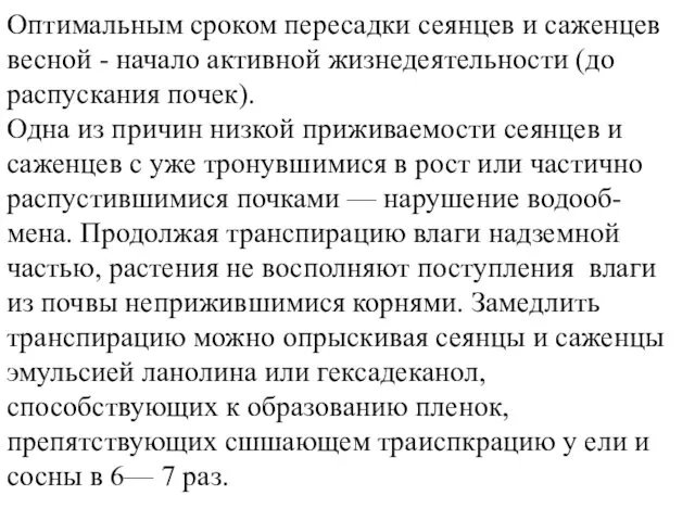 Оптимальным сроком пересадки сеянцев и саженцев весной - начало активной жизнедеятельности