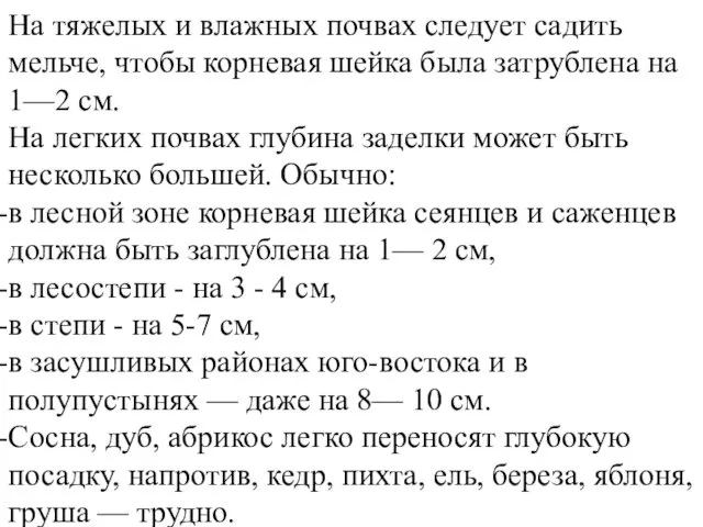 На тяжелых и влажных почвах следует садить мельче, чтобы корневая шейка