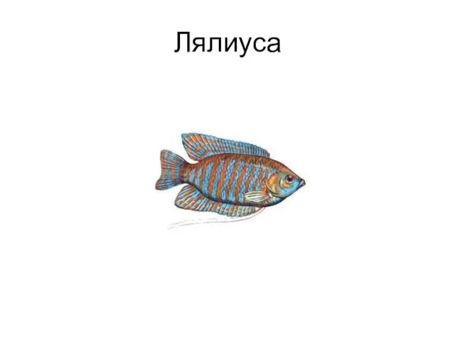 Лялиуса