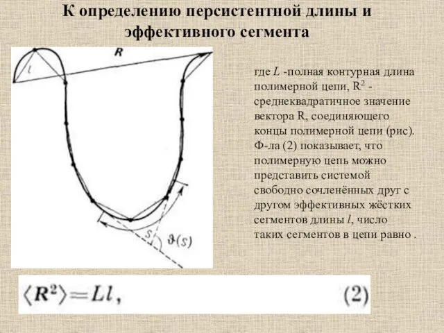 К определению персистентной длины и эффективного сегмента где L -полная контурная