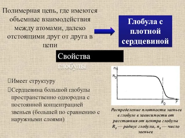 Глобула с плотной сердцевиной Свойства глобулы Имеет структуру Сердцевина большой глобулы