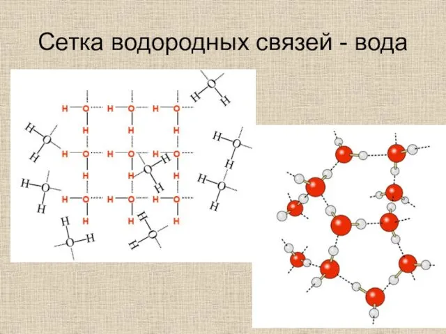 Сетка водородных связей - вода