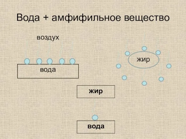 Вода + амфифильное вещество