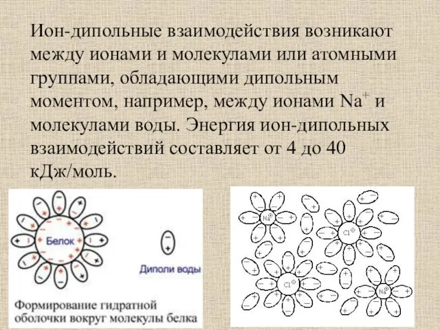 Ион-дипольные взаимодействия возникают между ионами и молекулами или атомными группами, обладающими