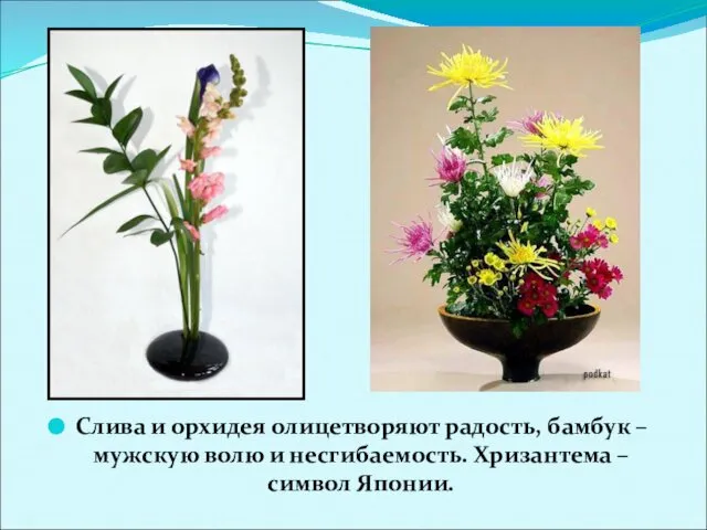 Слива и орхидея олицетворяют радость, бамбук – мужскую волю и несгибаемость. Хризантема – символ Японии.