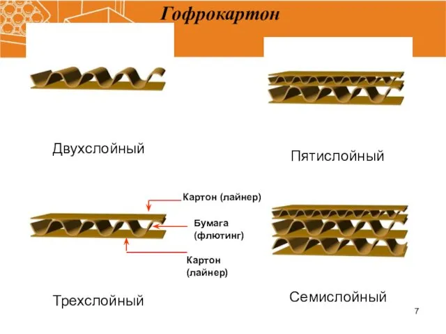 Гофрокартон Двухслойный Трехслойный Пятислойный Семислойный Картон (лайнер) Картон (лайнер) Бумага (флютинг)