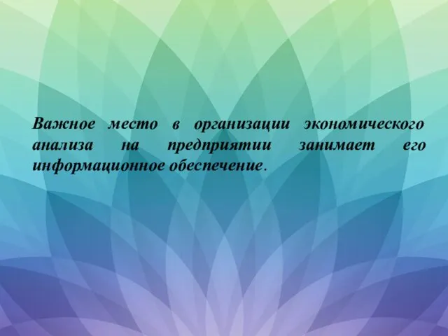 Важное место в организации экономического анализа на предприятии занимает его информационное обеспечение.