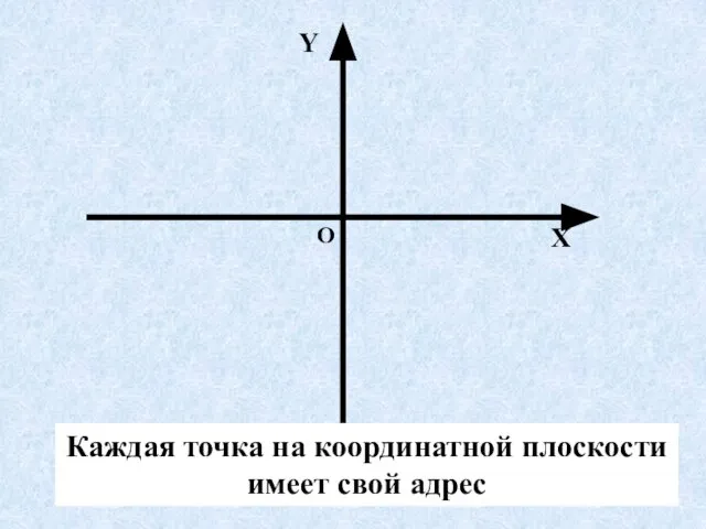 О Х Y Что имеет каждая точка на координатной плоскости? Каждая